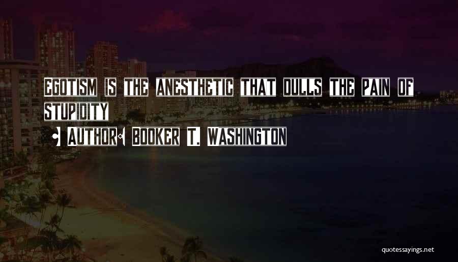 Anesthetic Quotes By Booker T. Washington