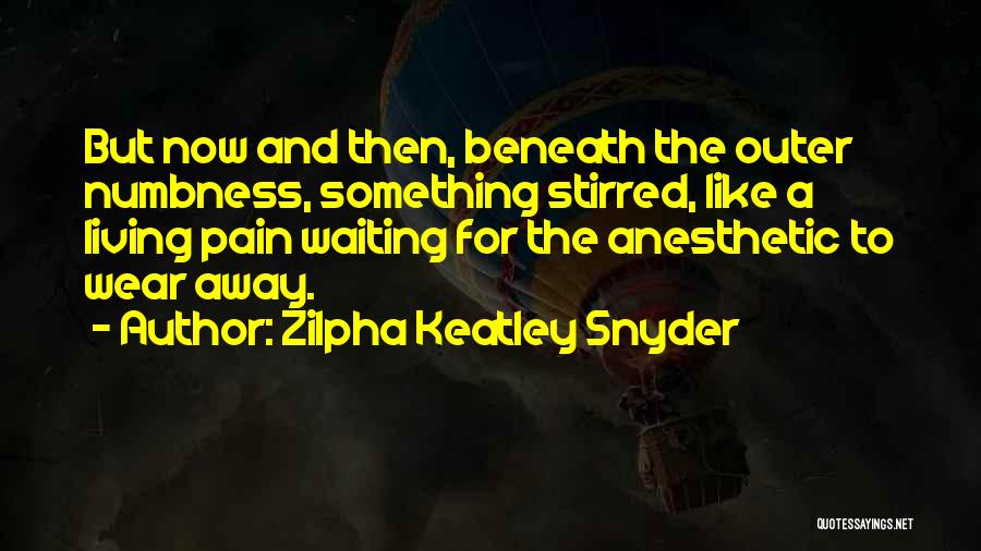 Anesthetic Quotes By Zilpha Keatley Snyder
