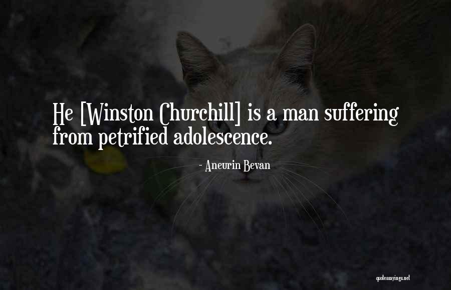 Aneurin Bevan Quotes 784525 Aneurin Bevan Quotes 784525
