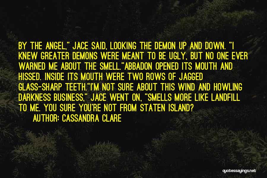 Angel Clare Quotes By Cassandra Clare