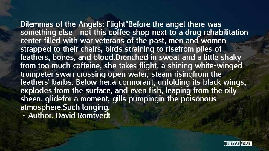 Angel Feathers Quotes By David Romtvedt