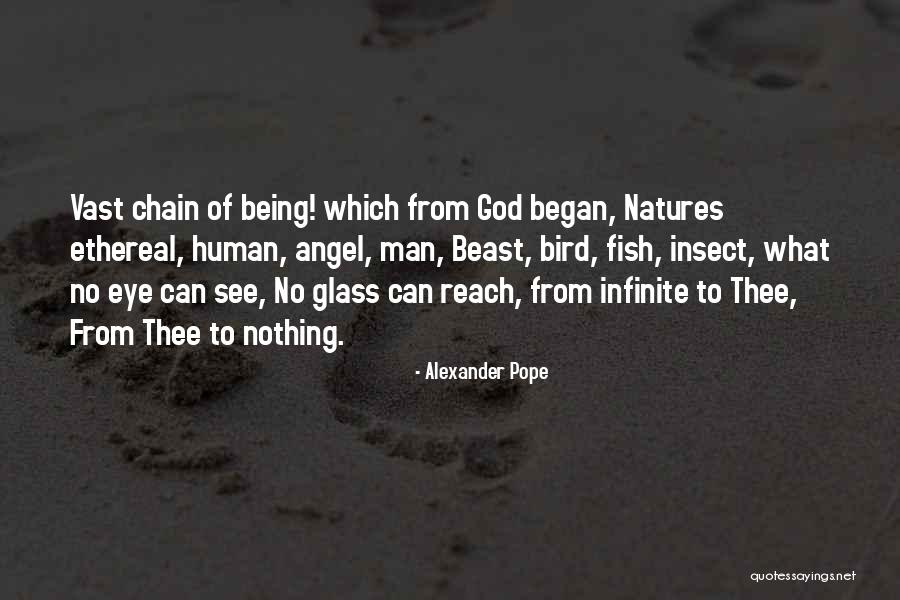 Angel Fish Quotes By Alexander Pope Angel Fish Quotes By Alexander Pope