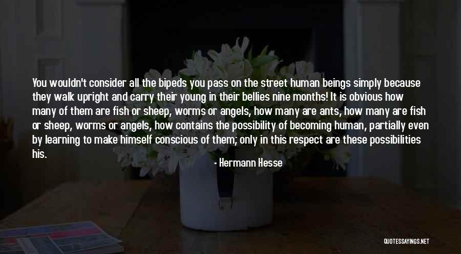 Angel Fish Quotes By Hermann Hesse Angel Fish Quotes By Hermann Hesse