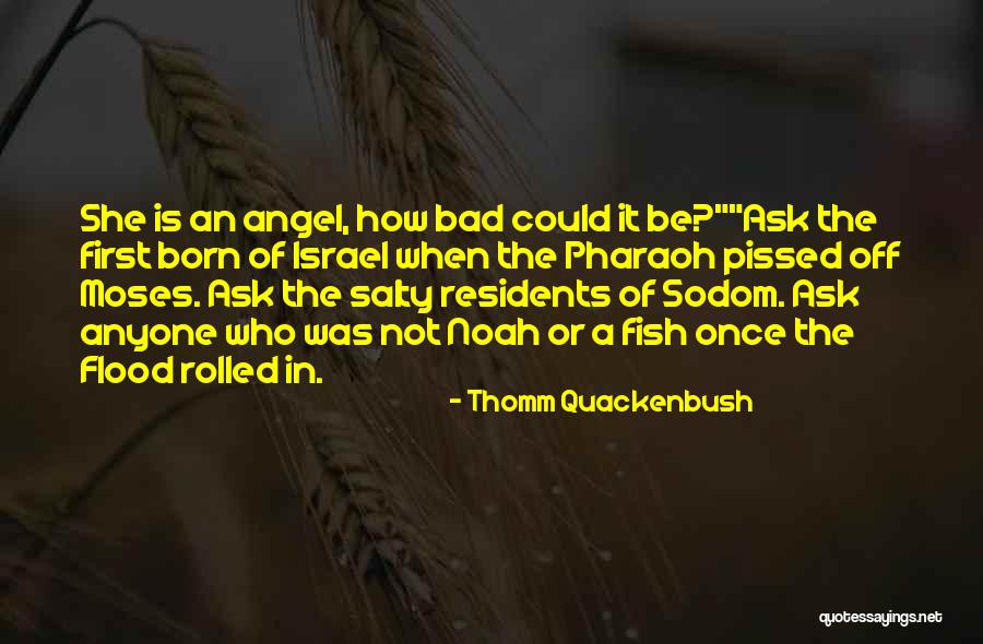 Angel Fish Quotes By Thomm Quackenbush Angel Fish Quotes By Thomm Quackenbush