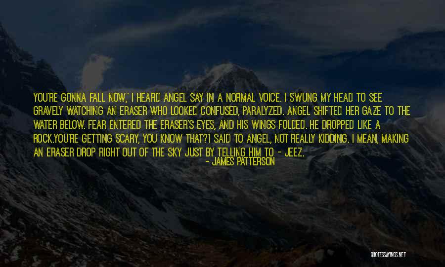 Angel Getting Wings Quotes By James Patterson