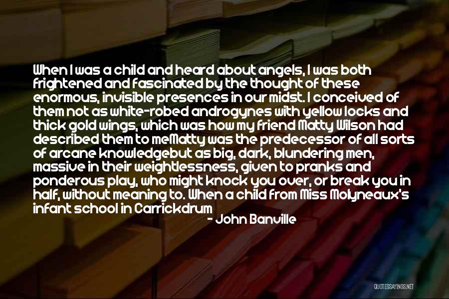 Angel Guardian Quotes By John Banville Angel Guardian Quotes By John Banville