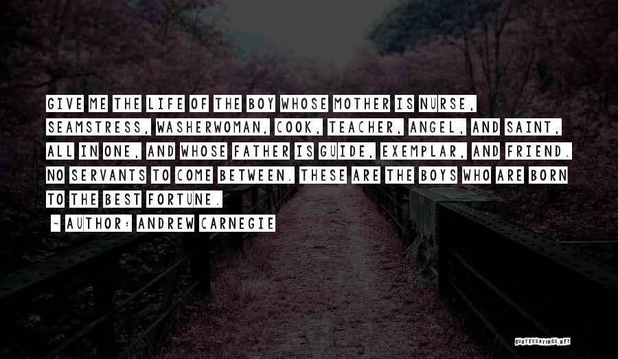 Angel In Life Quotes By Andrew Carnegie