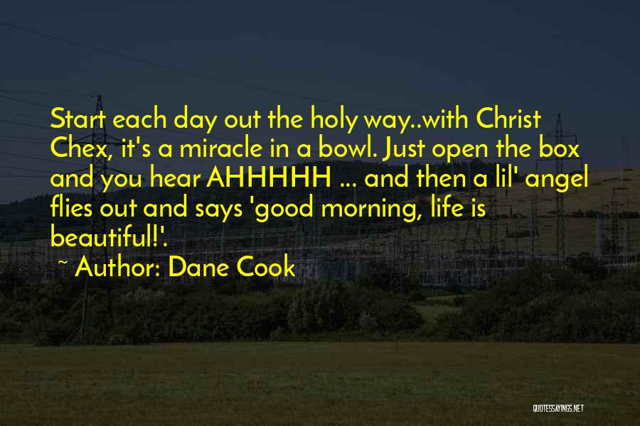 Angel In Life Quotes By Dane Cook