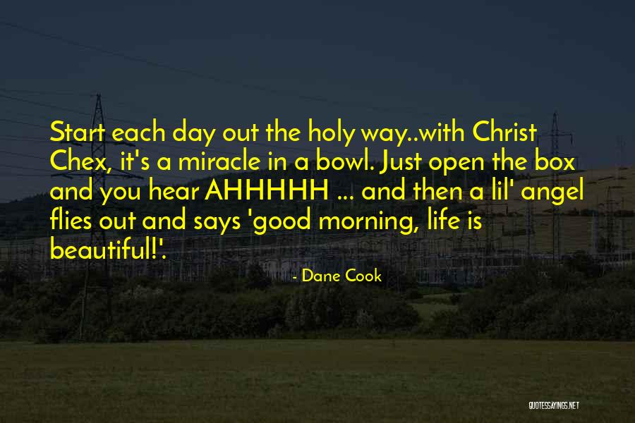 Angel In Life Quotes By Dane Cook