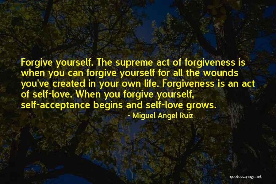 Angel In Life Quotes By Miguel Angel Ruiz