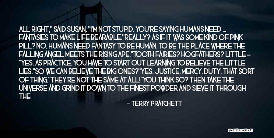 Angel In Life Quotes By Terry Pratchett