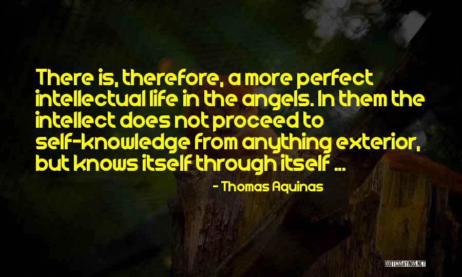 Angel In Life Quotes By Thomas Aquinas