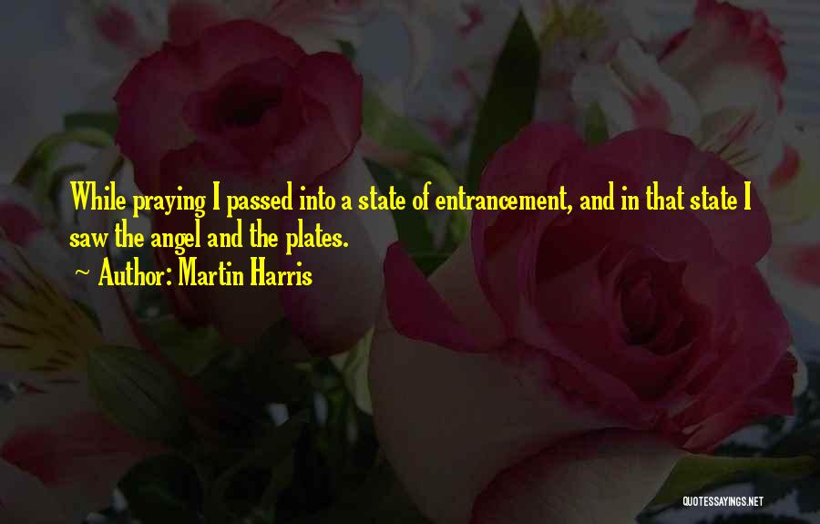 Angel In Quotes By Martin Harris