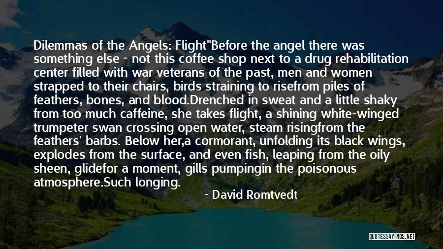 Angel In White Quotes By David Romtvedt