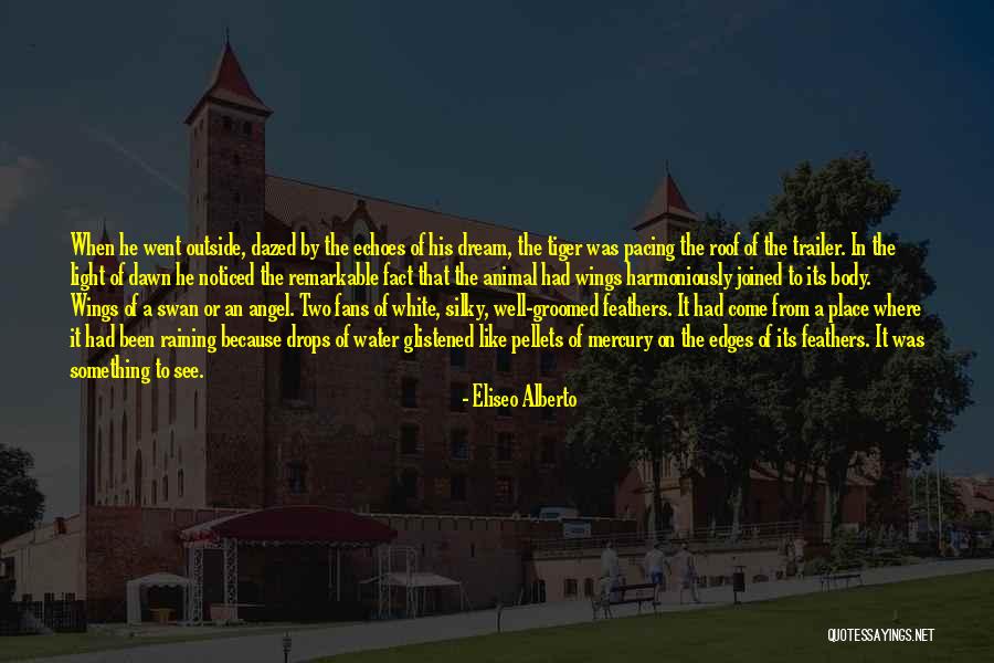 Angel In White Quotes By Eliseo Alberto Angel In White Quotes By Eliseo Alberto