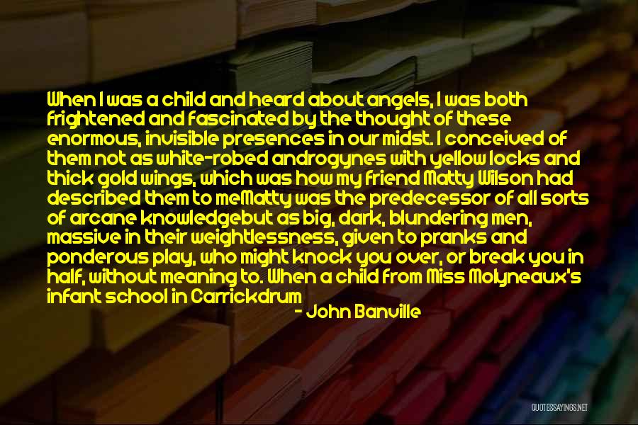 Angel In White Quotes By John Banville