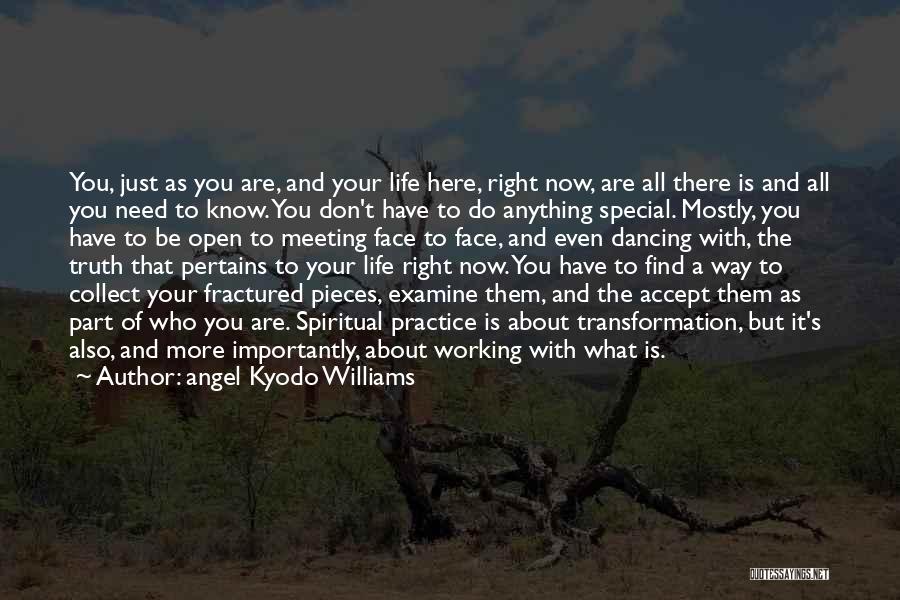 Angel Kyodo Williams Quotes 1213770