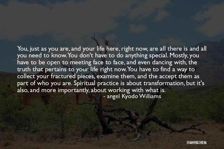Angel Kyodo Williams Quotes 1213770 Angel Kyodo Williams Quotes 1213770