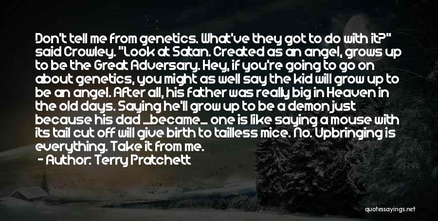 Angel Or Demon Quotes By Terry Pratchett