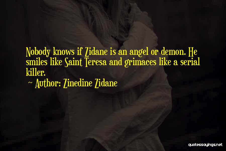 Angel Or Demon Quotes By Zinedine Zidane