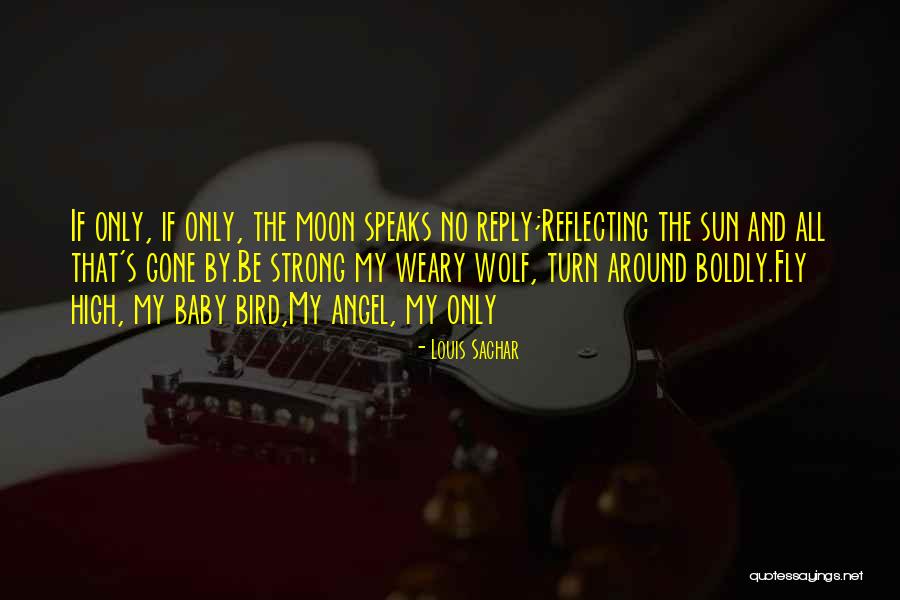 Angel S Wolf Quotes By Louis Sachar Angel S Wolf Quotes By Louis Sachar
