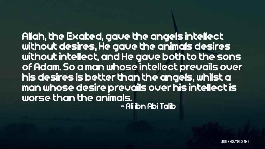 Angel Son Quotes By Ali Ibn Abi Talib Angel Son Quotes By Ali Ibn Abi Talib