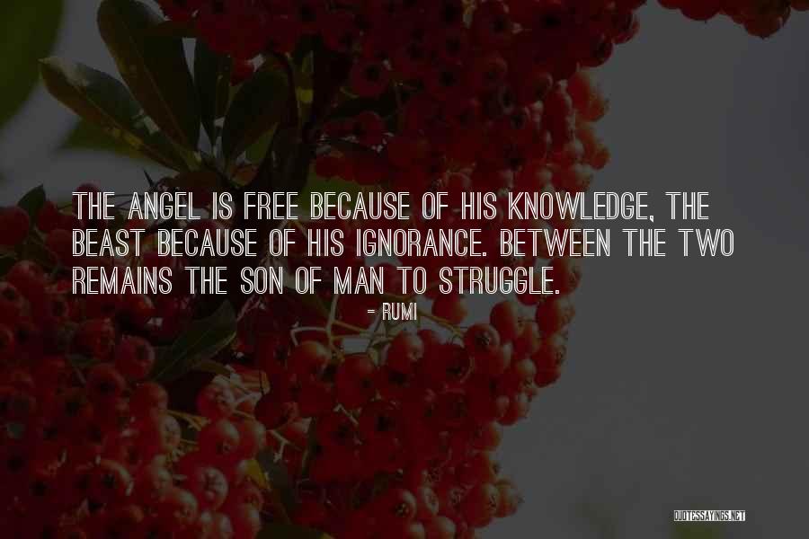 Angel Son Quotes By Rumi Angel Son Quotes By Rumi