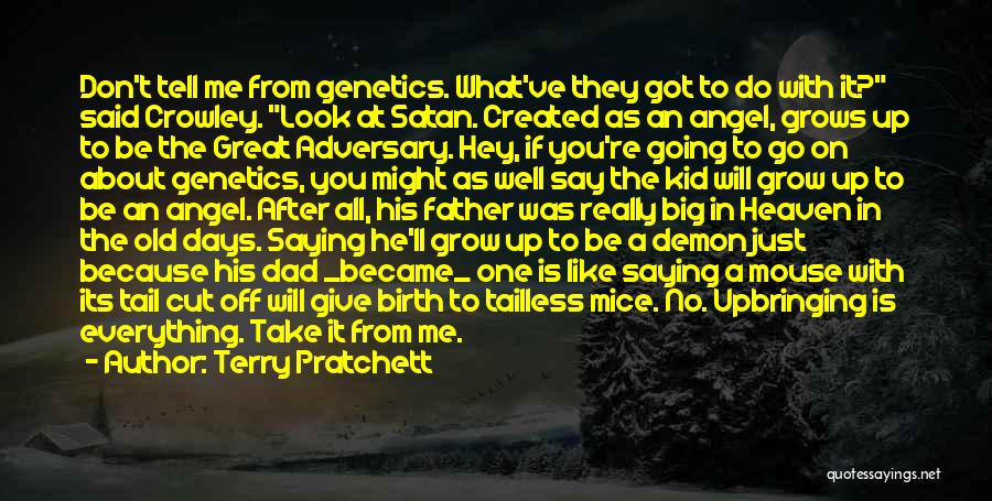 Angel Vs Demon Quotes By Terry Pratchett