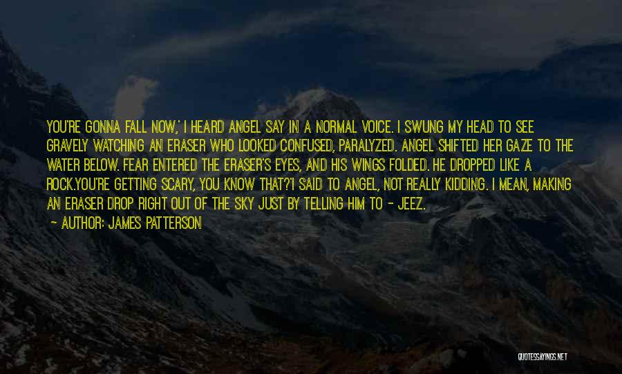 Angel Wings And Quotes By James Patterson