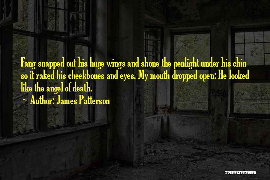 Angel Wings And Quotes By James Patterson