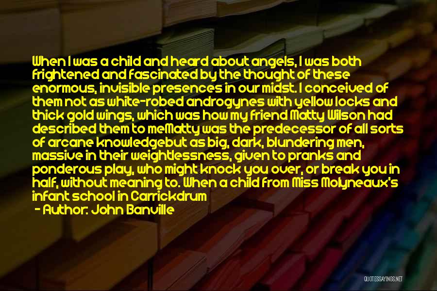 Angel Wings And Quotes By John Banville