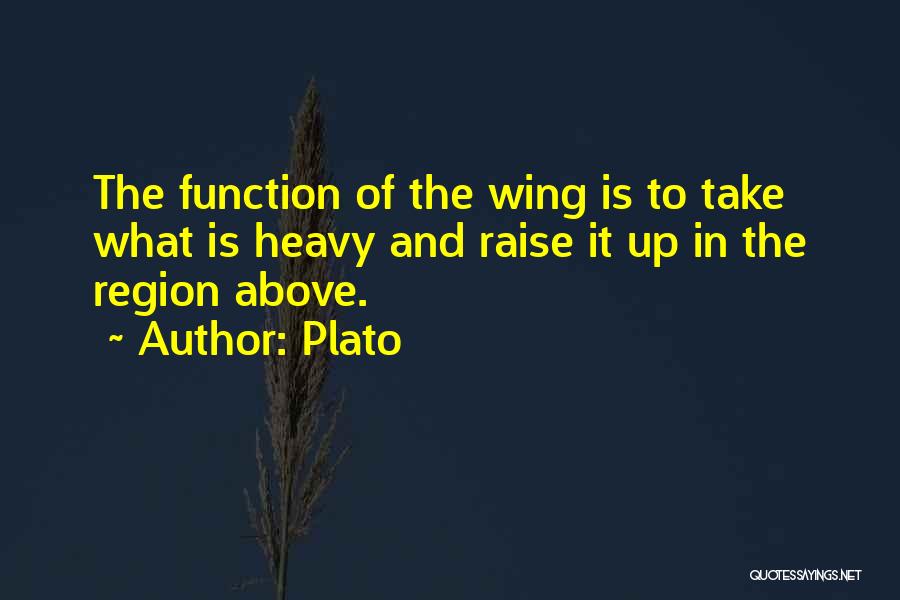Angel Wings And Quotes By Plato