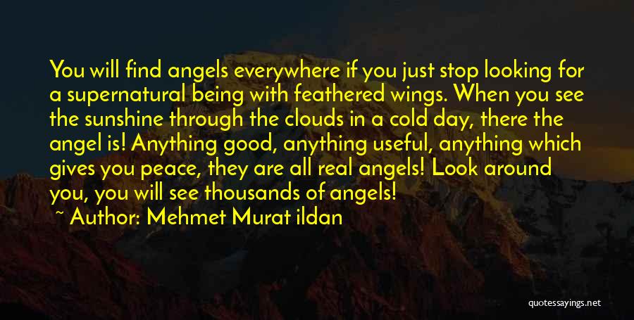 Angel Wings Quotes By Mehmet Murat Ildan