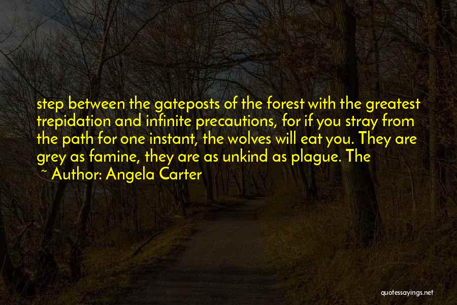Angela Carter Quotes 1299721 Angela Carter Quotes 1299721