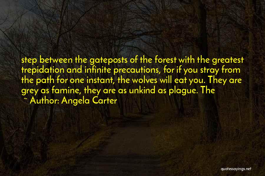 Angela Carter Quotes 1299721