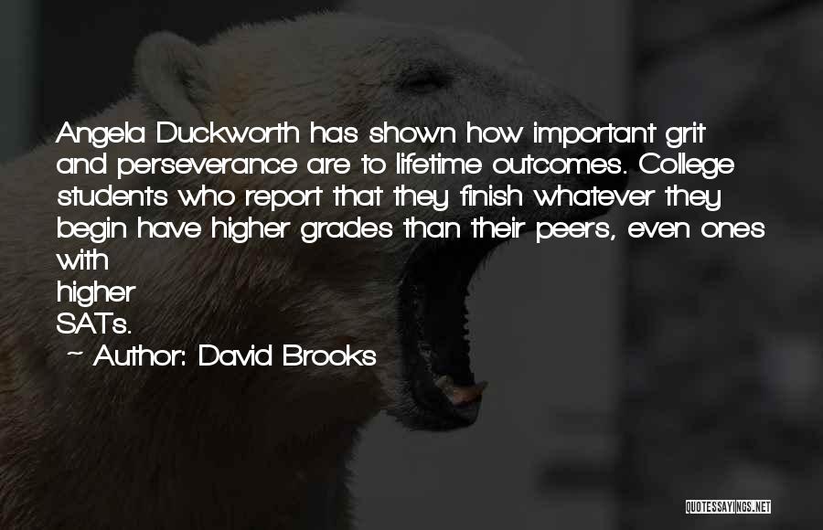 Angela Duckworth Grit Quotes By David Brooks