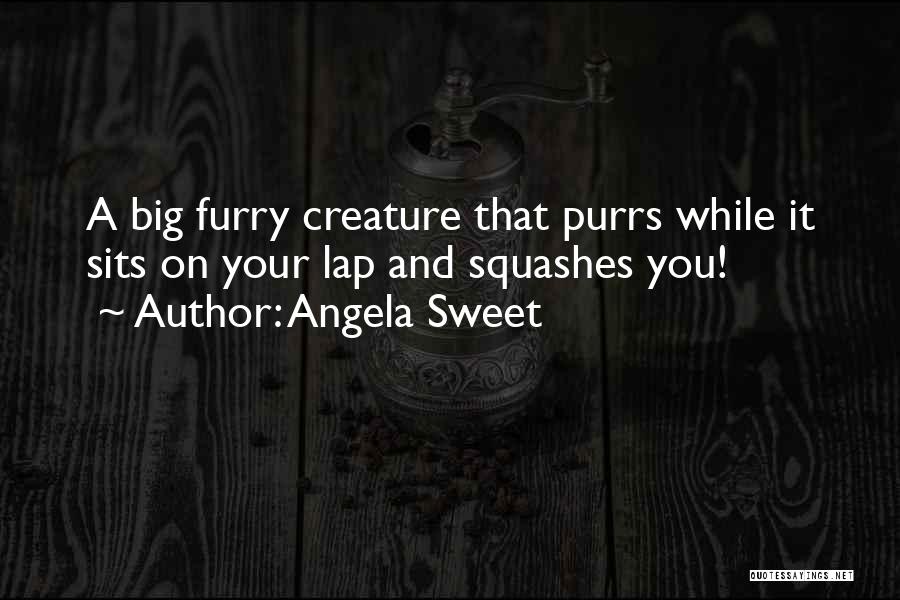 Angela Sweet Quotes 231274