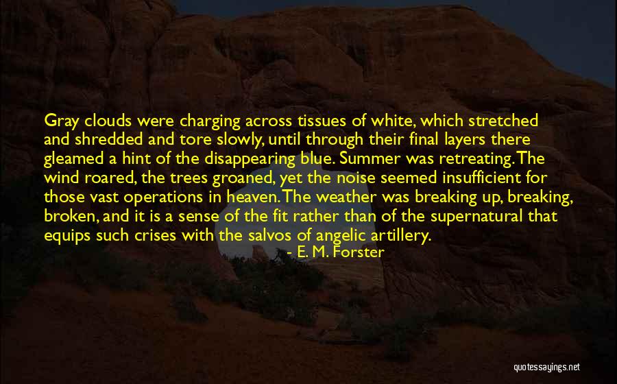 Angelic Quotes By E. M. Forster Angelic Quotes By E. M. Forster