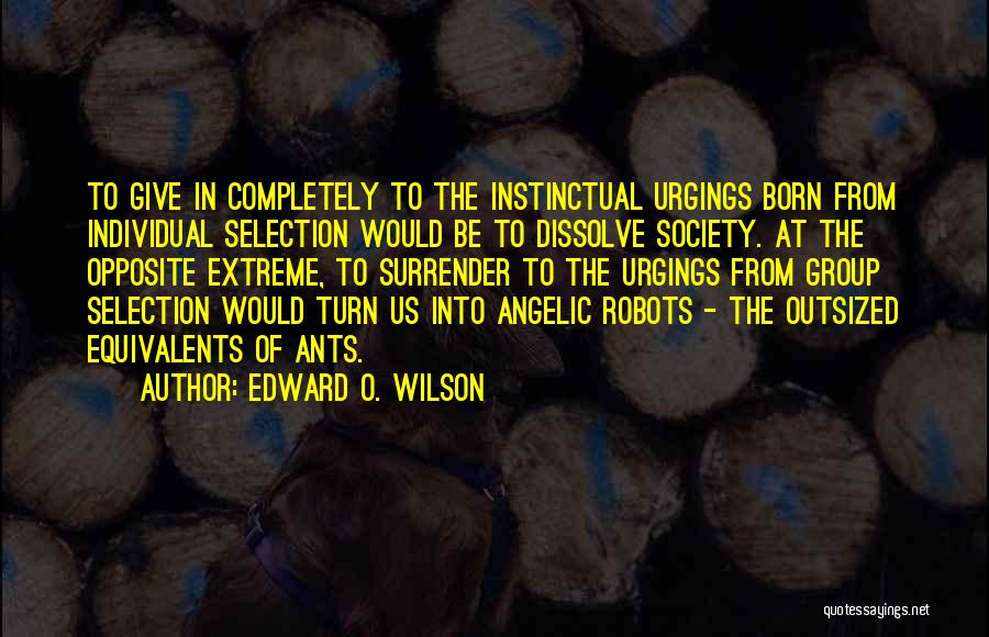 Angelic Quotes By Edward O. Wilson