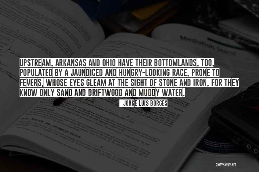 Angeliki Lambri Quotes By Jorge Luis Borges Angeliki Lambri Quotes By Jorge Luis Borges