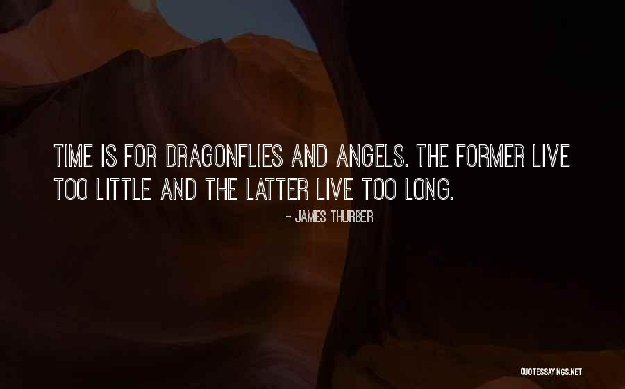 Angelina Jolies Quotes By James Thurber Angelina Jolies Quotes By James Thurber