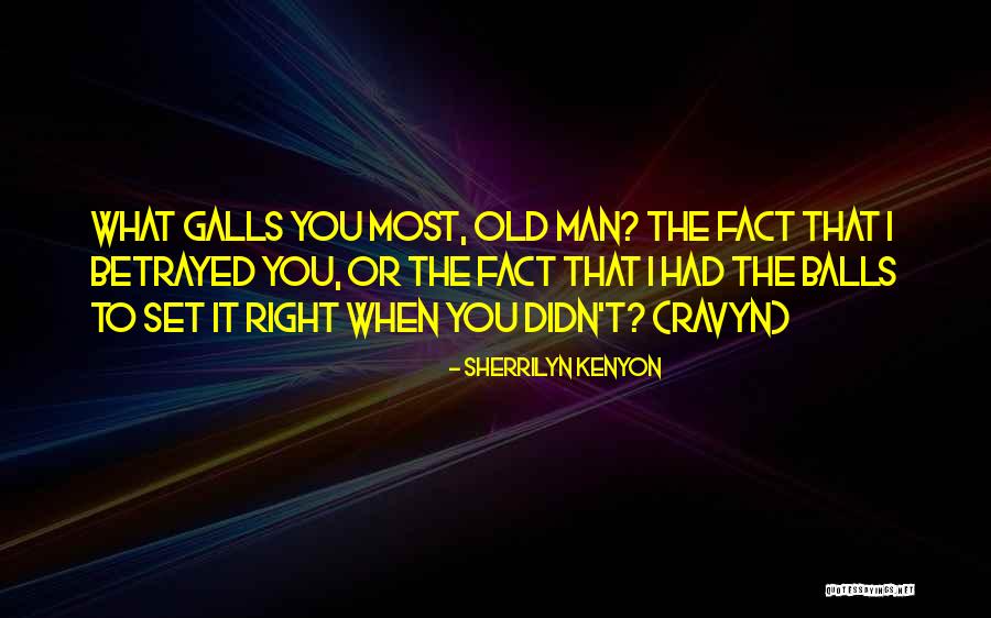 Angelinis Italian Quotes By Sherrilyn Kenyon Angelinis Italian Quotes By Sherrilyn Kenyon