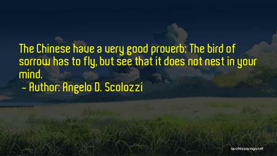 Angelo D. Scolozzi Quotes 1207420