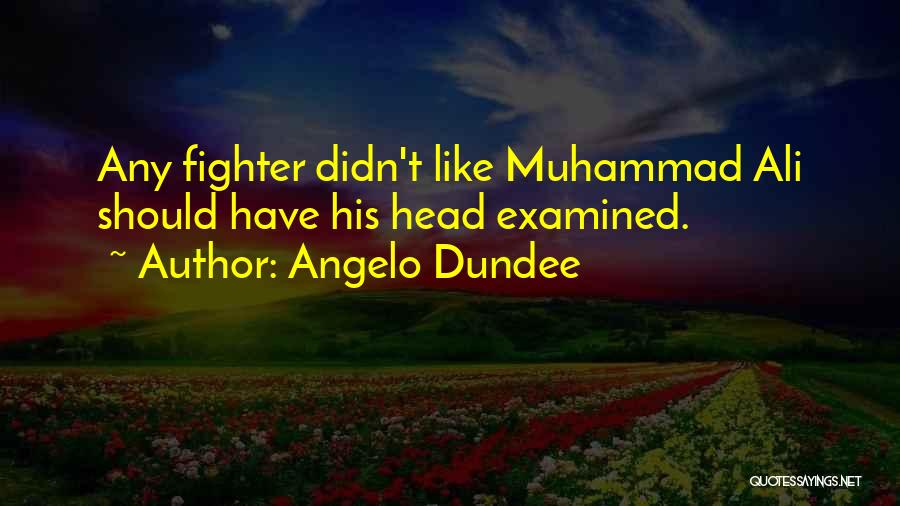 Angelo Quotes By Angelo Dundee