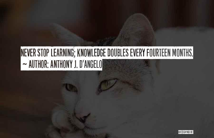 Angelo Quotes By Anthony J. D'Angelo