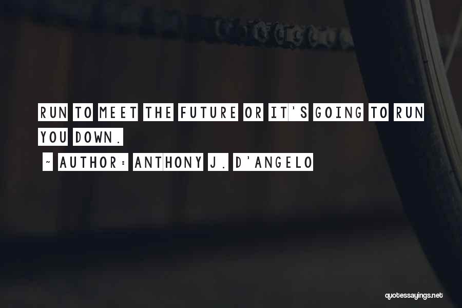Angelo Quotes By Anthony J. D'Angelo