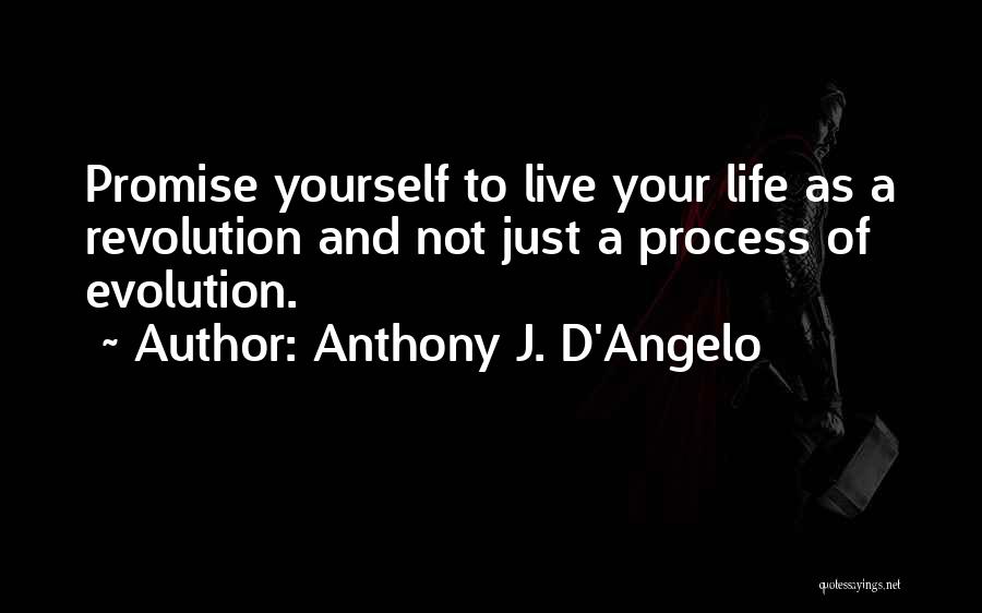 Angelo Quotes By Anthony J. D'Angelo