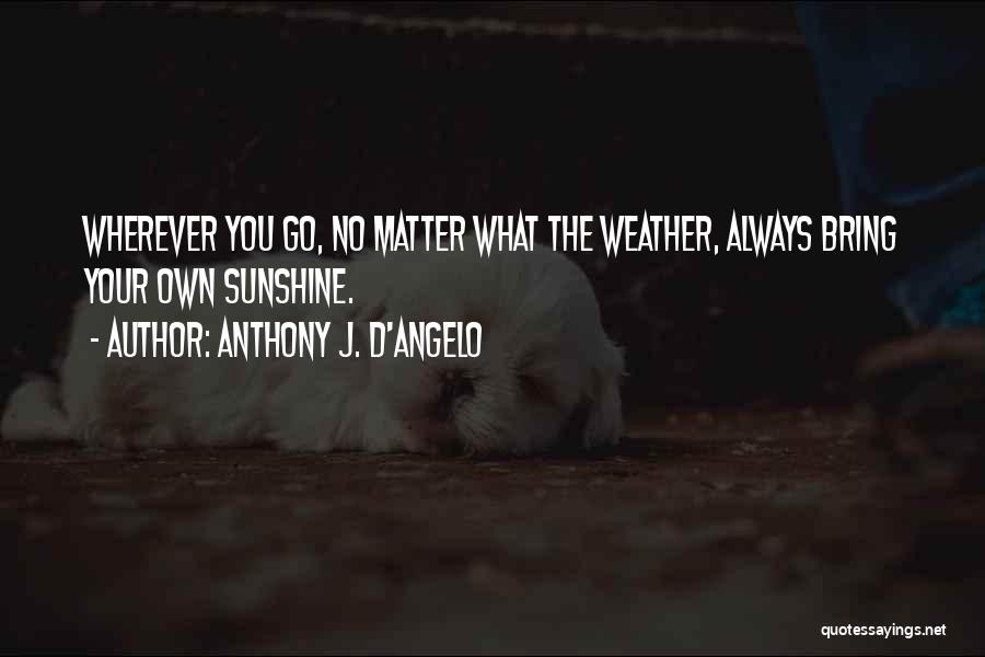 Angelo Quotes By Anthony J. D'Angelo