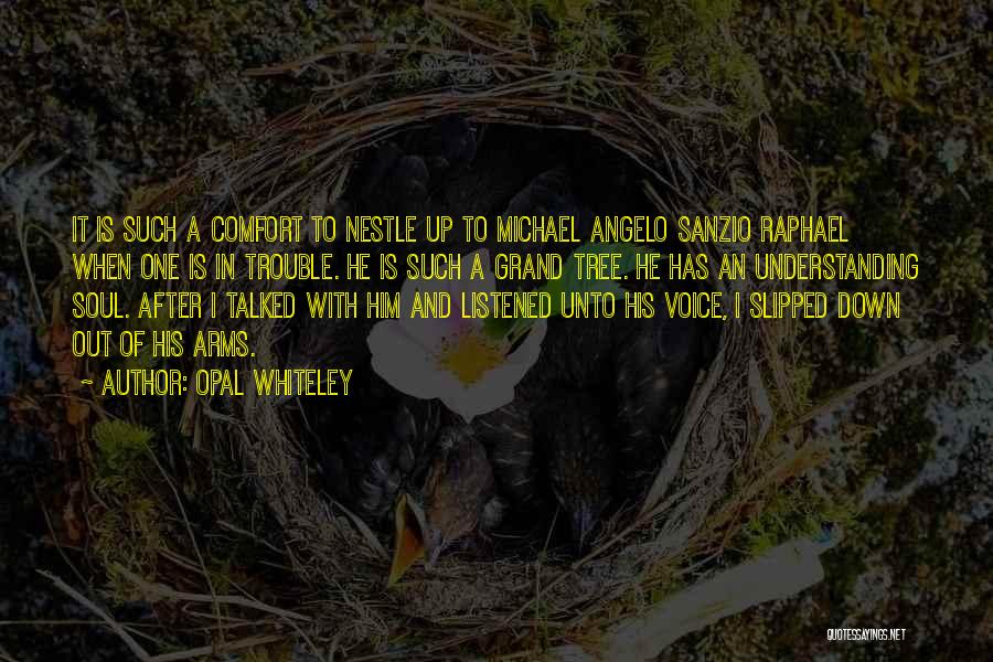 Angelo Quotes By Opal Whiteley