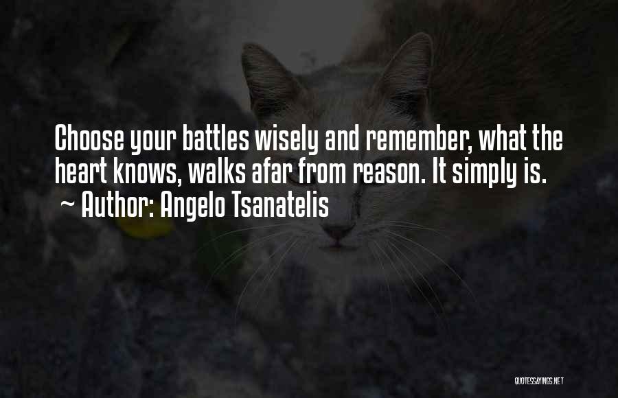 Angelo Tsanatelis Quotes 1625671